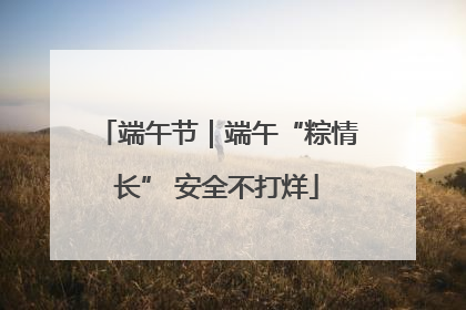 端午节｜端午“粽情长” 安全不打烊