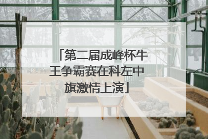 第二届成峰杯牛王争霸赛在科左中旗激情上演