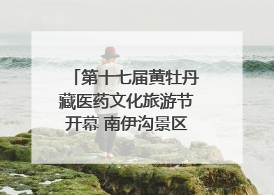 第十七届黄牡丹藏医药文化旅游节开幕 南伊沟景区重新开放