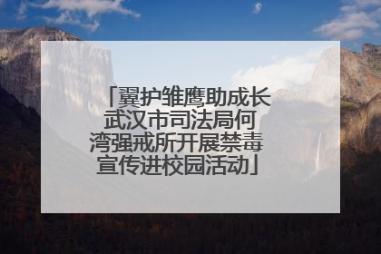 翼护雏鹰助成长 武汉市司法局何湾强戒所开展禁毒宣传进校园活动