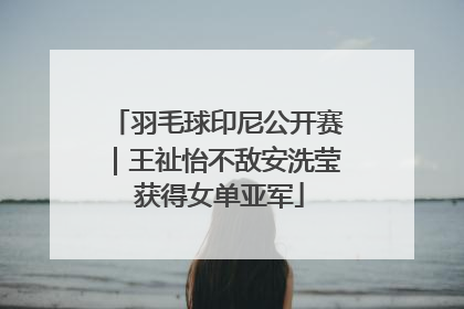 羽毛球印尼公开赛｜王祉怡不敌安洗莹 获得女单亚军
