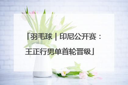 羽毛球｜印尼公开赛：王正行男单首轮晋级