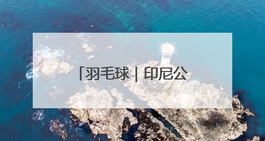 羽毛球｜印尼公开赛：程星/张驰晋级混双八强