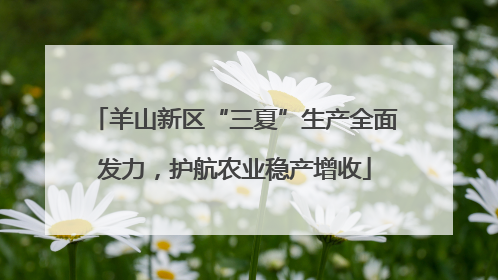 羊山新区“三夏”生产全面发力，护航农业稳产增收