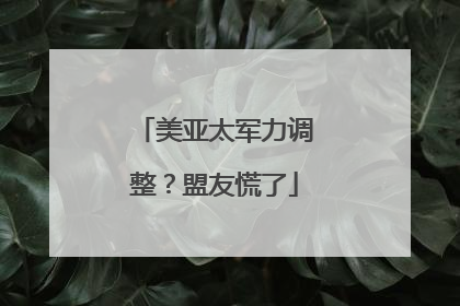 美亚太军力调整？盟友慌了