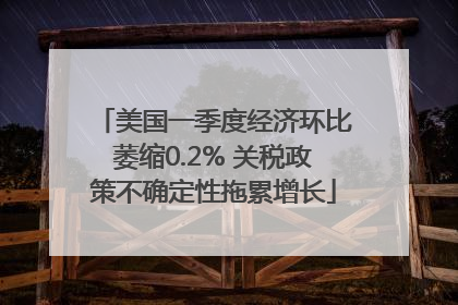 美国一季度经济环比萎缩0.2% 关税政策不确定性拖累增长