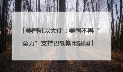 美国驻以大使：美国不再“全力”支持巴勒斯坦建国