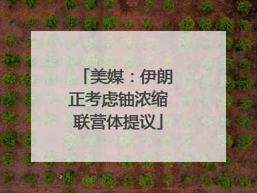美媒：伊朗正考虑铀浓缩联营体提议