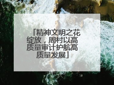 精神文明之花绽放，周村以高质量审计护航高质量发展