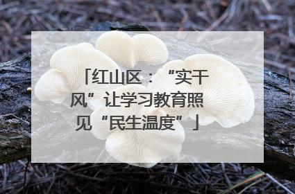 红山区：“实干风”让学习教育照见“民生温度”