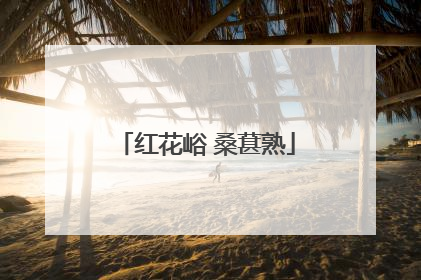 红花峪 桑葚熟