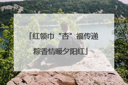 红领巾“杏”福传递 粽香情暖夕阳红