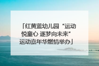 红黄蓝幼儿园“运动悦童心 逐梦向未来”运动嘉年华燃情举办