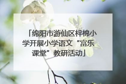 绵阳市游仙区梓棉小学开展小学语文“富乐课堂”教研活动
