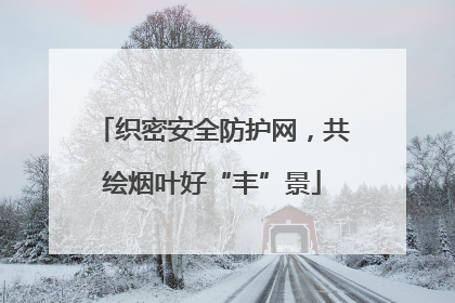 织密安全防护网，共绘烟叶好“丰”景