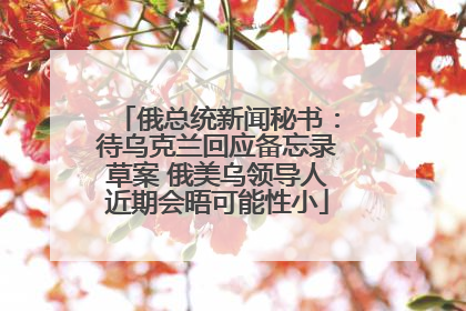 俄总统新闻秘书：待乌克兰回应备忘录草案 俄美乌领导人近期会晤可能性小
