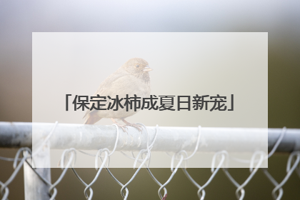 保定冰柿成夏日新宠