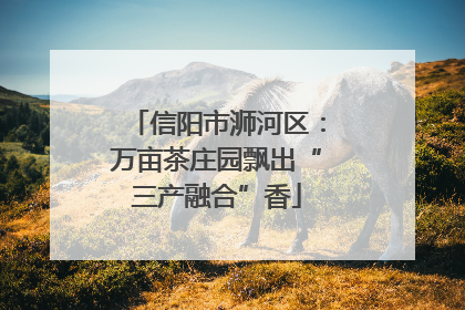 信阳市浉河区：万亩茶庄园飘出“三产融合”香