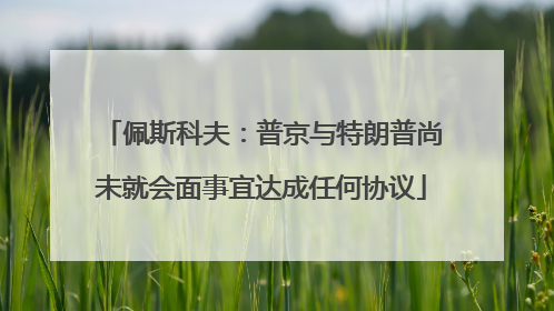 佩斯科夫：普京与特朗普尚未就会面事宜达成任何协议