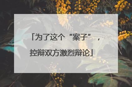 为了这个“案子”，控辩双方激烈辩论