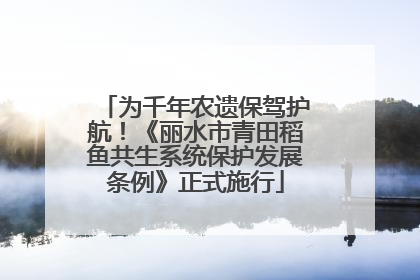为千年农遗保驾护航！《丽水市青田稻鱼共生系统保护发展条例》正式施行