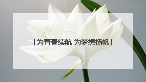 为青春续航 为梦想扬帆