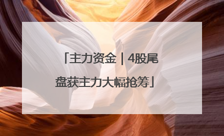 主力资金｜4股尾盘获主力大幅抢筹