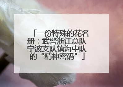 一份特殊的花名册：武警浙江总队宁波支队镇海中队的“精神密码”