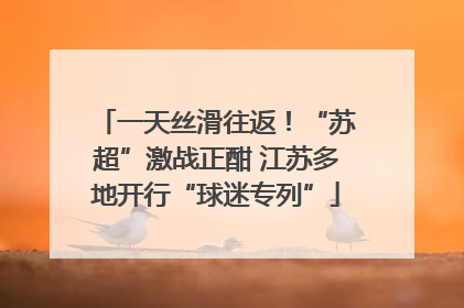 一天丝滑往返！“苏超”激战正酣 江苏多地开行“球迷专列”