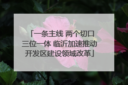 一条主线 两个切口 三位一体 临沂加速推动开发区建设领域改革