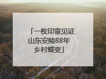 一枚印章见证山东安陵88年乡村蝶变