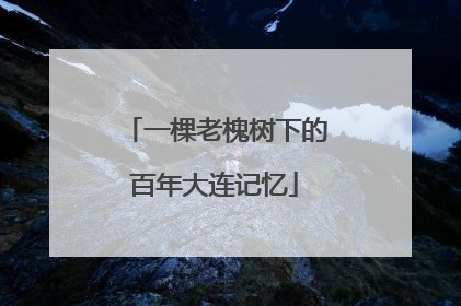 一棵老槐树下的百年大连记忆