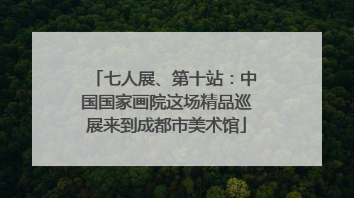 七人展、第十站：中国国家画院这场精品巡展来到成都市美术馆