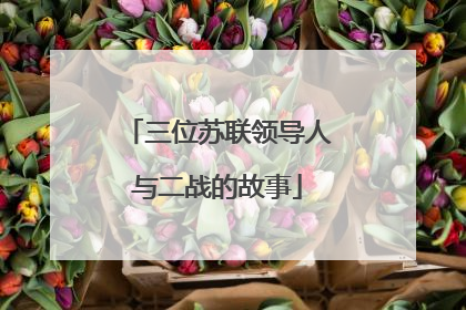 三位苏联领导人与二战的故事