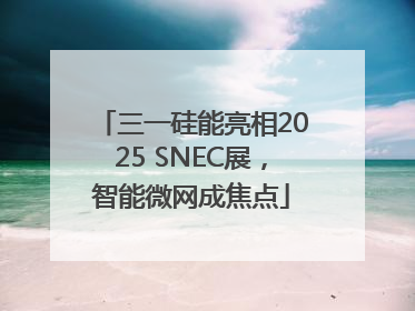 三一硅能亮相2025 SNEC展，智能微网成焦点