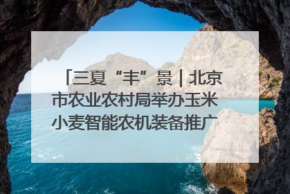 三夏“丰”景｜北京市农业农村局举办玉米小麦智能农机装备推广“田间日”活动