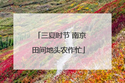 三夏时节 南京田间地头农作忙