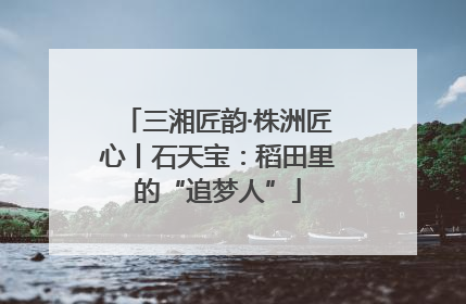 三湘匠韵·株洲匠心丨石天宝：稻田里的“追梦人”