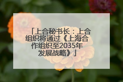 上合秘书长：上合组织将通过《上海合作组织至2035年发展战略》