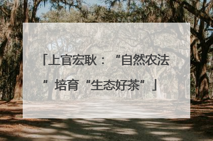 上官宏耿：“自然农法”培育“生态好茶”