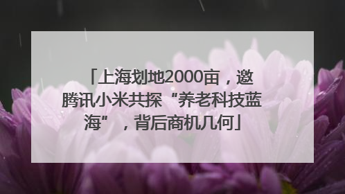 上海划地2000亩，邀腾讯小米共探“养老科技蓝海”，背后商机几何