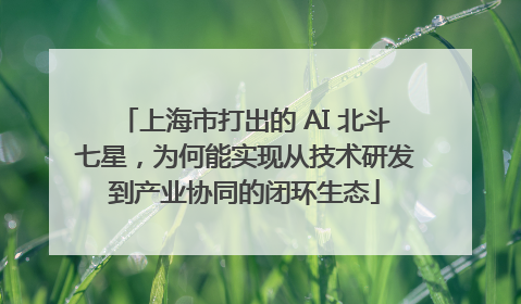 上海市打出的 AI 北斗七星，为何能实现从技术研发到产业协同的闭环生态