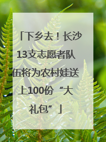 下乡去！长沙13支志愿者队伍将为农村娃送上100份“大礼包”