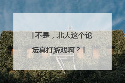 不是，北大这个论坛真打游戏啊？