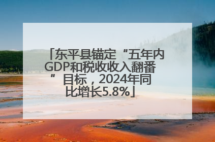 东平县锚定“五年内GDP和税收收入翻番”目标，2024年同比增长5.8%