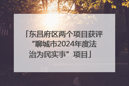 东昌府区两个项目获评“聊城市2024年度法治为民实事”项目