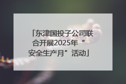 东津国投子公司联合开展2025年“安全生产月”活动