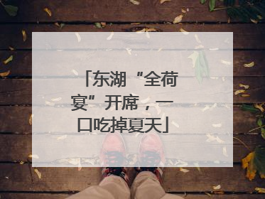 东湖“全荷宴”开席，一口吃掉夏天