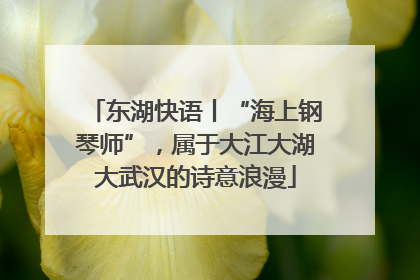 东湖快语丨“海上钢琴师”，属于大江大湖大武汉的诗意浪漫