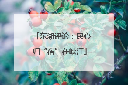 东湖评论：民心归“宿”在峡江